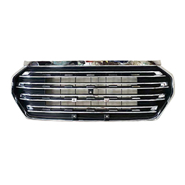 Radiator Grille Assembly